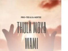 Pro Tee & Dj Aertee – Thula Moya Wami