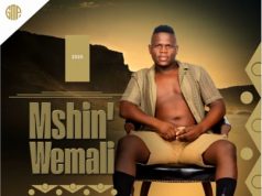 Mshinwemali – Into Enesiyezi (Song)