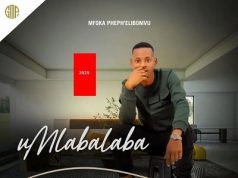 uMlabalaba – Uzele Amawele