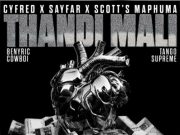 Cyfred, Sayfar, Scotts Maphuma – Thandi Mali Ft. BenyRic, CowBoii,Tango Supreme