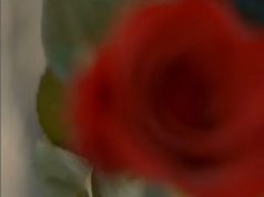 Dj Jaivane & De Rose – Lutho