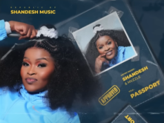 Shandesh – Tshwara Tlhogo ft. Abi Wa Mampela & Hitboss SA