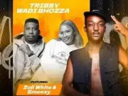 Tribby Wadi Bhozza – Pereberebere Oh Lord (Mechene) Ft. Zoli White Smoke & SmeezyOn The Beat