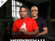 Mshinwemali – Ithathe Remix Ft. Shenge Wasehlalankosi (Shenge Version)