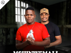 Mshinwemali – Ithathe Remix Ft. Shenge Wasehlalankosi (Shenge Version)