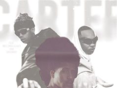 Carter IV, Greenboii & Mellow & Sleazy – Ngixolele ft. CPT Switch Njena & Baby S.O.N