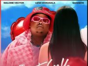 Malome Vector – Just To See You Ft. Lizwi Wokuqala & Sannere