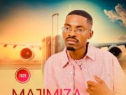 Majimiza – Ngiphuze Umdolofiya Ft. Mjolisi