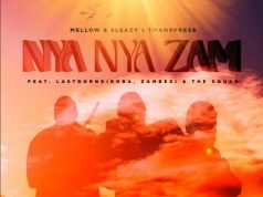 Mellow & Sleazy, Tman Xpress – Nya Nya Zam Ft. LastBornDiroba, Zambezi, The Squad