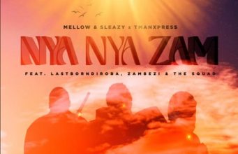 Mellow & Sleazy, Tman Xpress – Nya Nya Zam Ft. LastBornDiroba, Zambezi, The Squad