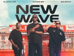 Blacks Jnr, Dankie Boi, Goldmax & TNS – Shona Phansi (Amnandi Amagwinya)