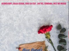 Acidicloopz, Dlala Ceekai, Solo SA, Lah’Vee, Somdaka, Wizz WS MusiQ – Waze Wamuhle