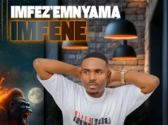 Imfezemnyama – Imidlwembe