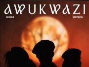 Sykes, The Sisters & MK Productions – Awukwazi Ft. Dlala Thukzin